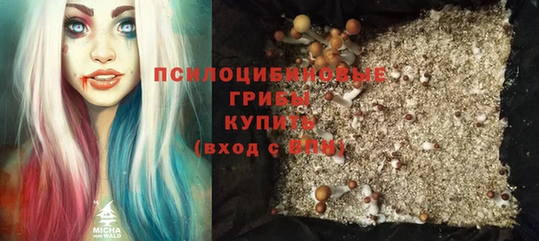 мдпв Арсеньев
