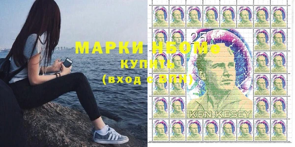 мдпв Арсеньев
