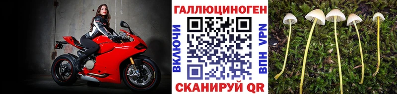 Псилоцибиновые грибы Psilocybine cubensis  это какой сайт  Сердобск 